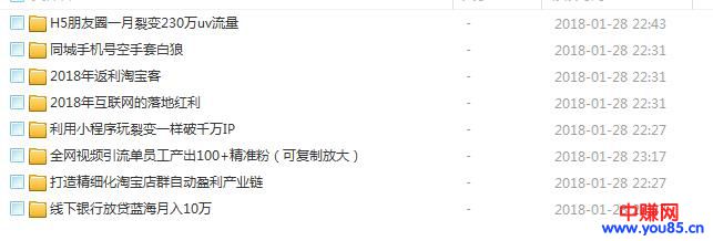 图片[3]-（888期）逐鹿琅琊会2018高手汇聚分享会：8个项目-最少一个月能赚5万-10元-副业网
