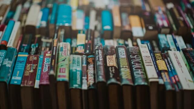 图片[2]-（1074期）小说作家带你30天写小说，靠小说赚钱，真正实用培训营！-副业网