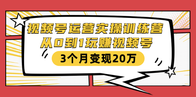 （1596期）视频号运营实操训练营：从0到1玩赚视频号，3个月变现20万-副业网