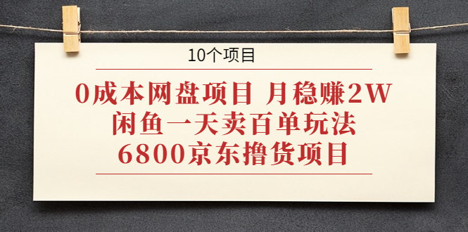 （1928期）0成本网盘项目 月稳赚2W+闲鱼一天卖百单玩法+6800京东撸货项目 (10个项目)-副业网
