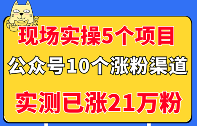 （2947期）现场实操5个公众号项目，10个涨粉渠道，实测已涨21万粉！-副业网