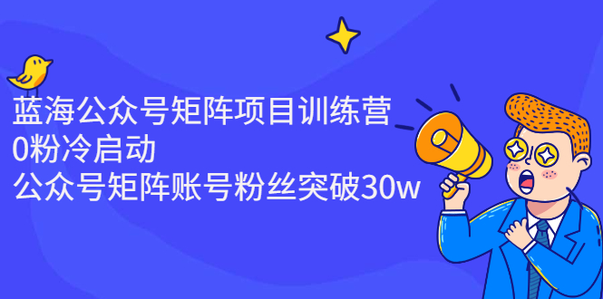 （2405期）蓝海公众号矩阵项目训练营，0粉冷启动，公众号矩阵账号粉丝突破30w-副业网