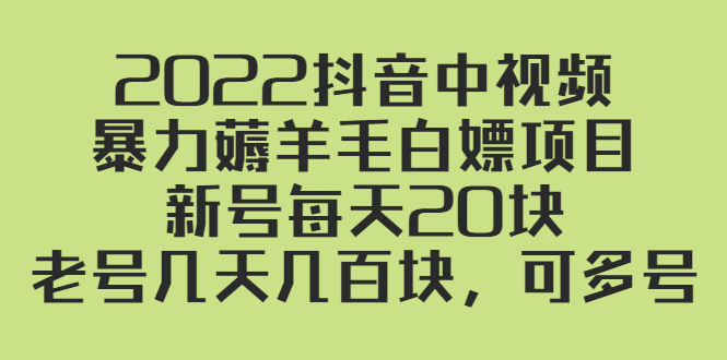 （2402期）2022抖音中视频暴力薅羊毛白嫖项目：新号每天20块，老号几天几百块，可多号-副业网