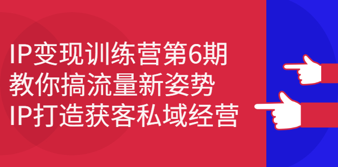 （2351期）IP变现训练营第6期：教你搞流量新姿势，IP打造获客私域经营-副业网