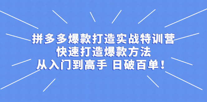 （2237期）拼多多爆款打造实战特训营：快速打造爆款方法，从入门到高手 日破百单-副业网