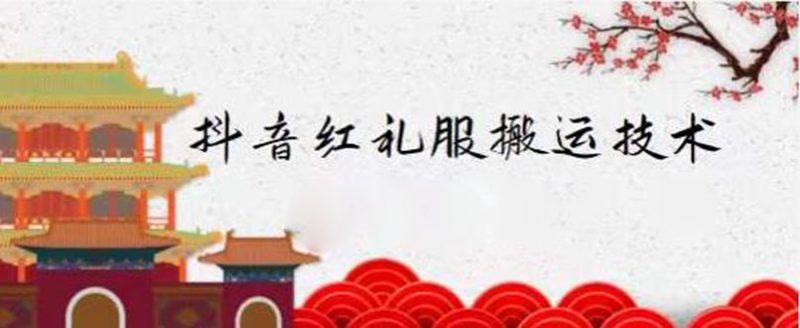 （2235期）抖音红礼服搬运技术，最近很火的搬运方法，外面收大几百-副业网