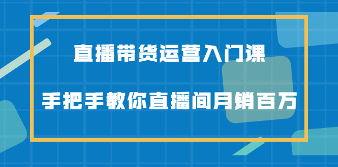 （2078期）直播带货运营入门课，手把手教你直播间月销百万-副业网