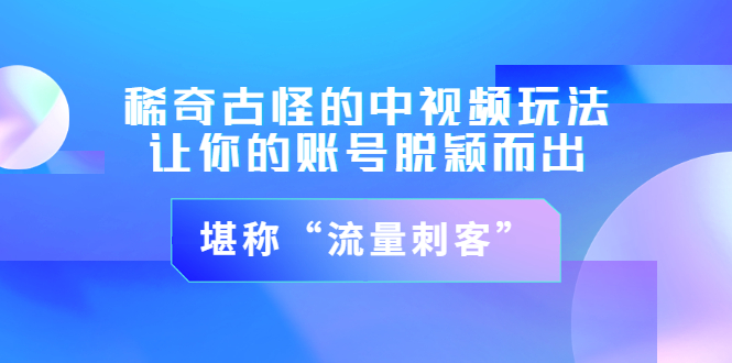 （3159期）稀奇古怪的中视频玩法，让你的账号脱颖而出，堪称“流量刺客”（图文+视频)-副业网