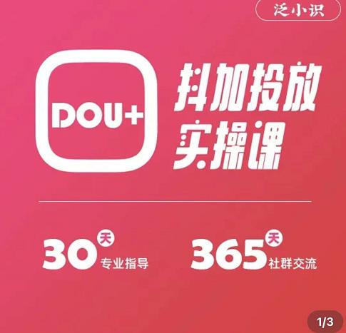 图片[2]-（3190期）泛小识精品课系列：抖加投放实操课，干货慢慢，新手必学（12节视频课）-副业网