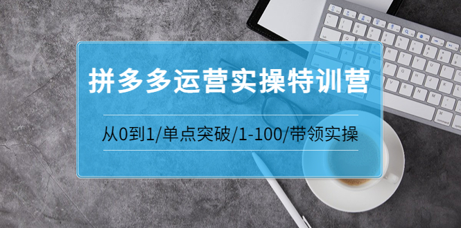 （3417期）青云:拼多多运营实操特训营：从0到1/单点突破/1-100/带领实操-副业网