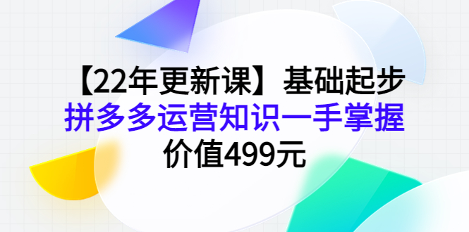 （3963期）【22年更新课】基础起步，拼多多运营知识一手掌握，价值499元-副业网