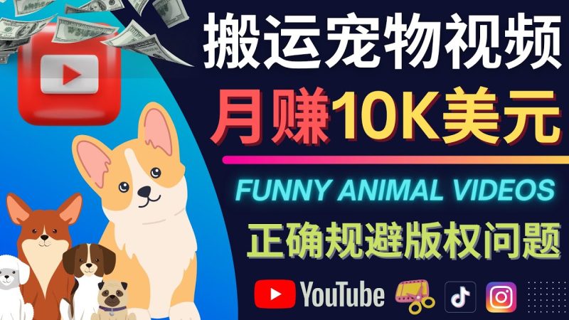 （4221期）搬运TIKTOK视频到YouTube，并进行二次创作，月赚1万美元以上-副业网