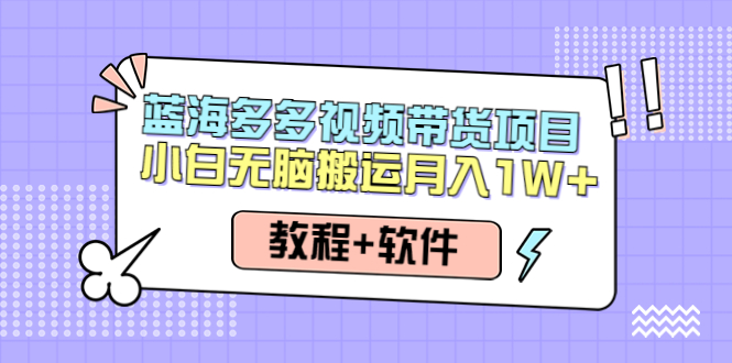 （4343期）人人都能操作的蓝海多多视频带货项目 小白无脑搬运月入10000+（教程+软件）-副业网