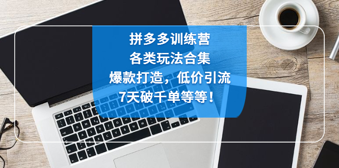 （4693期）拼多多训练营：各玩法合集，爆款打造，低价引流，7天破千单等等！-副业网