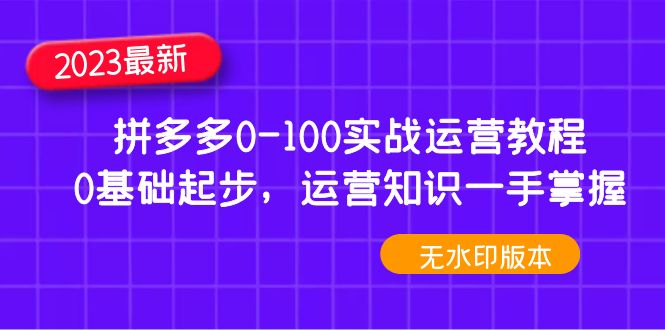 （4835期）2023拼多多0-100实战运营教程，0基础起步，运营知识一手掌握（无水印）-副业网