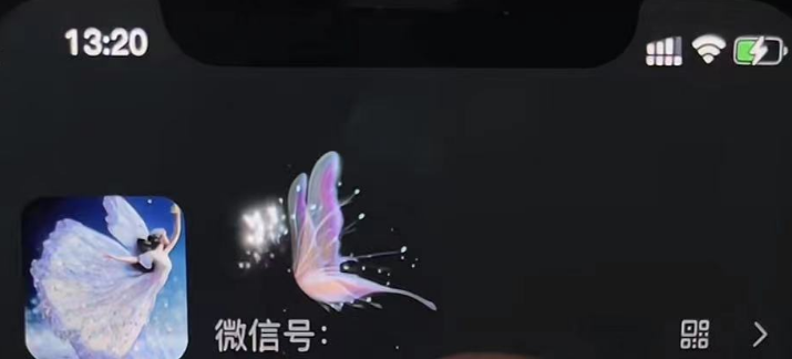 图片[3]-（4980期）微信动态昵称设置方法，可抖音直播引流，日赚上百【详细视频教程+素材】-副业网