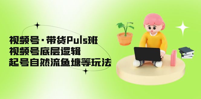 （5027期）视频号·带货Puls班，视频号底层逻辑，起号自然流鱼塘等玩法-副业网