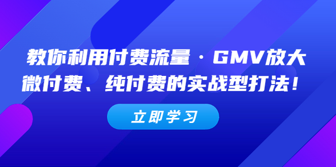 （5106期）教你利用付费流量·GMV放大，微付费、纯付费的实战型打法！-副业网