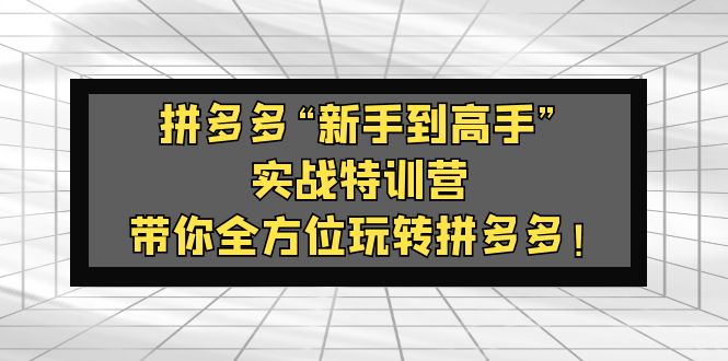（5173期）拼多多“新手到高手”实战特训营：带你全方位玩转拼多多！-副业网