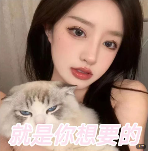 图片[2]-（5273期）微信交友变现项目，吸引全网LSP男粉精准变现，小白也能轻松上手，日入500+-副业网