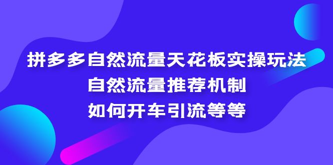 （5327期）拼多多自然流量天花板实操玩法：自然流量推荐机制，如何开车引流等等-副业网