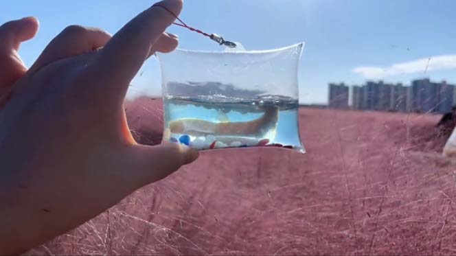 图片[5]-（5392期）最近抖音很火的泡泡鱼手工小成本地摊创业项目，日賺500+项目课程解析-副业网