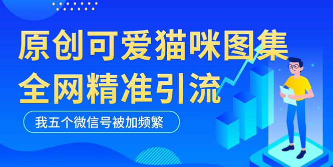 （5498期）黑科技纯原创可爱猫咪图片，全网精准引流，实操5个VX号被加频繁-副业网