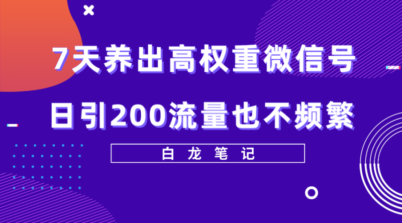 （5630期）7天养出高权重微信号，日引200流量也不频繁，方法价值3680元-副业网