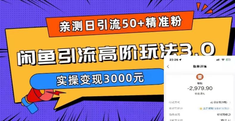 （5739期）实测日引50+精准粉，闲鱼引流高阶玩法3.0，实操变现3000元-副业网