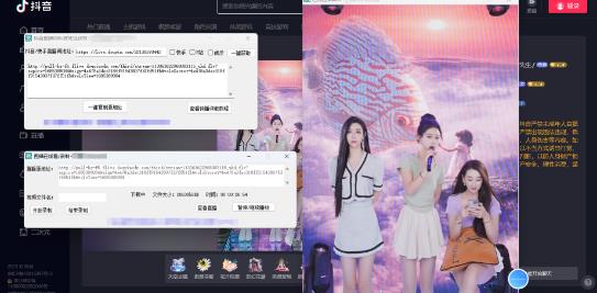 图片[2]-（5907期）最新电脑版抖音/快手/B站直播源获取+直播间实时录制+直播转播【软件+教程】-副业网