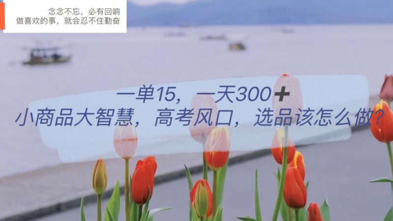 （6077期）一单15，一天300+，小商品大智慧，高考风口，选品该怎么布局-副业网