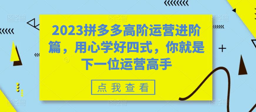 （6193期）2023拼多多高阶运营进阶篇，用心学好四式，你就是下一位运营高手-副业网