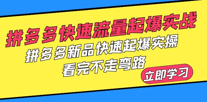 （6253期）拼多多-快速流量起爆实战，拼多多新品快速起爆实操，看完不走弯路-副业网