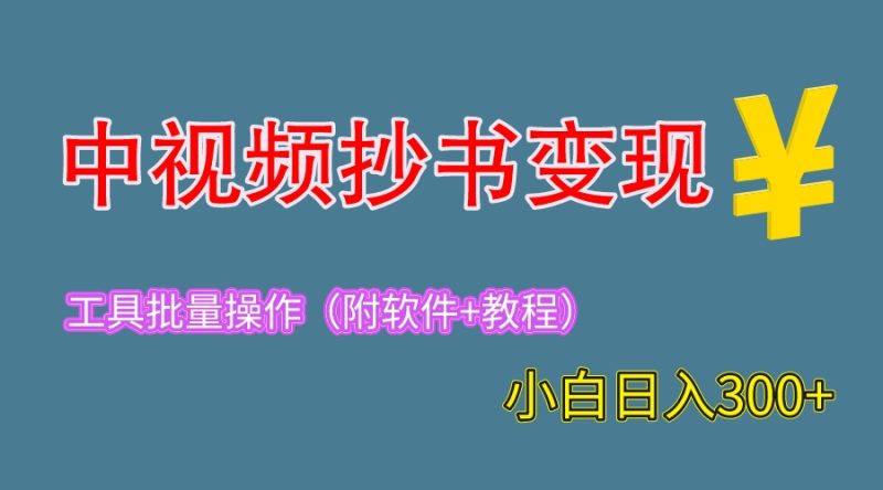 （6246期）2023中视频抄书变现（附工具+教程），一天300+，特别适合新手操作的副业-副业网