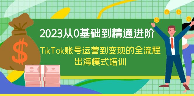（6299期）2023从0基础到精通进阶，TikTok账号运营到变现的全流程出海模式培训-副业网