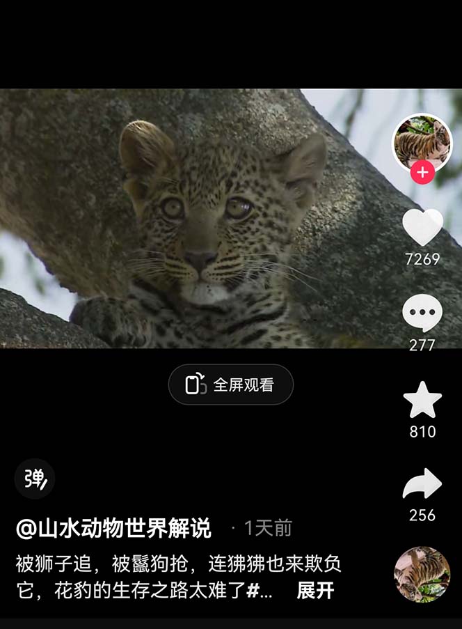 图片[3]-（6312期）外面卖1699的国外纪录片解说（动物解说、美食、动画片）稳过中视频-副业网