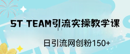 （6578期）ST TEAM引流实操课，日引流网创粉100+-副业网