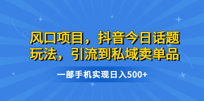 （6588期）风口项目，抖音今日话题玩法，引流到私域卖单品，一部手机实现日入500+-副业网