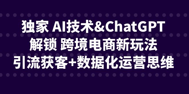 （6599期）独家 AI技术&ChatGPT解锁 跨境电商新玩法，引流获客+数据化运营思维-副业网