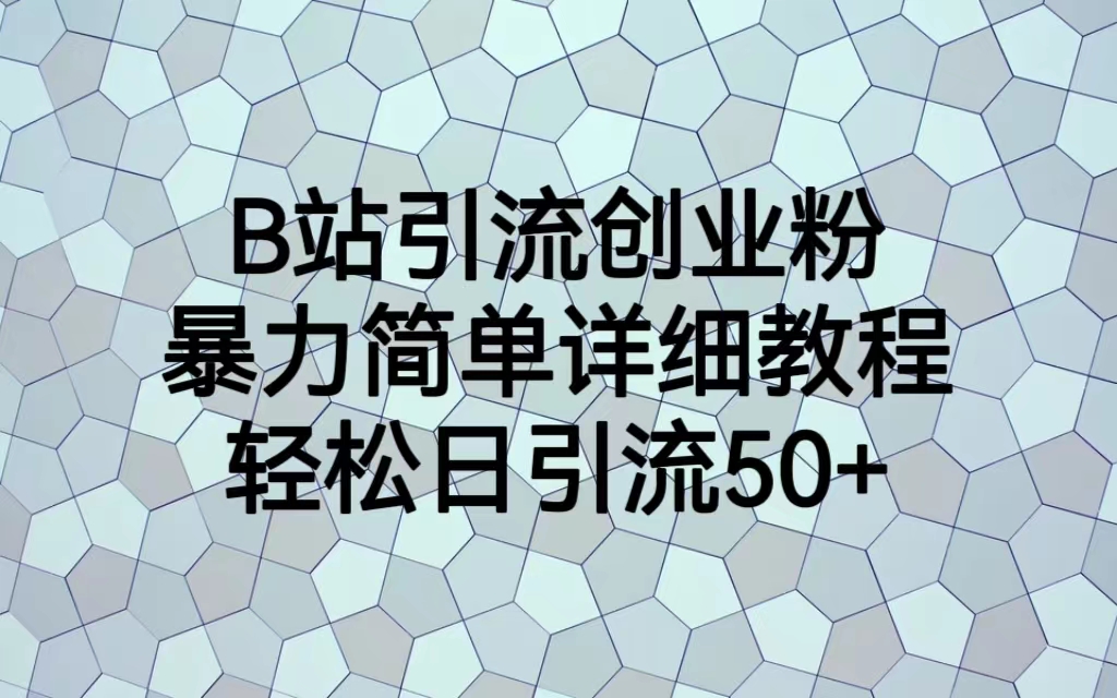 （6639期）B站引流创业粉，暴力简单详细教程，轻松日引流50+-副业网