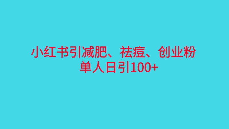（6799期）小红书精准引流，减肥、祛痘、创业粉单人日引100+（附软件）-副业网