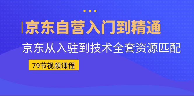 （6901期）京东自营入门到精通：京东从入驻到技术全套资源匹配（79节课）-副业网