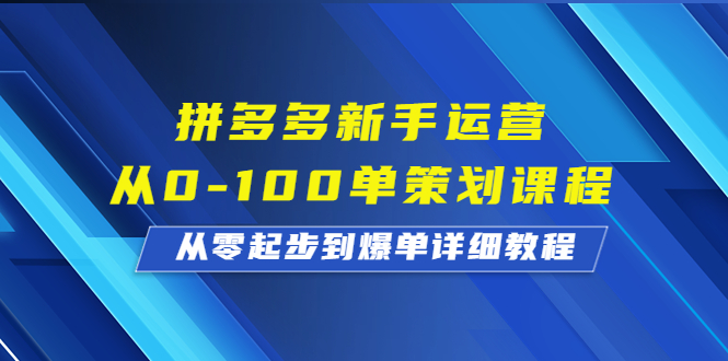 （6920期）拼多多新手运营从0-100单策划课程，从零起步到爆单详细教程-副业网