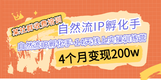 （6924期）某社群收费培训：自然流IP 孵化手-14天线上实操训练营 4个月变现200w-副业网