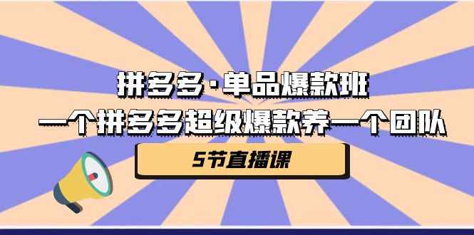 （7019期）拼多多·单品爆款班，一个拼多多超级爆款养一个团队（5节直播课）-副业网