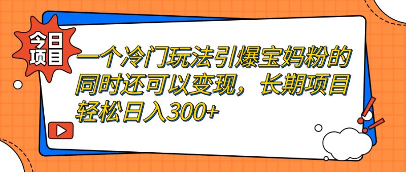（7147期）一个冷门玩法引爆宝妈粉的同时还可以变现，长期项目轻松日入300+-副业网