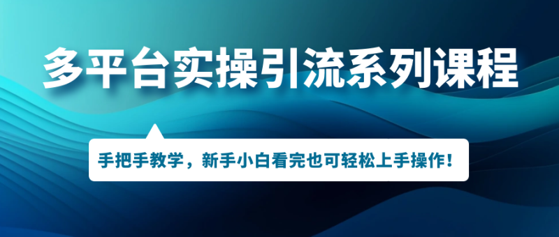（7170期）多平台实操引流系列课程，手把手教学，新手小白看完也可轻松上手引流操作！-副业网