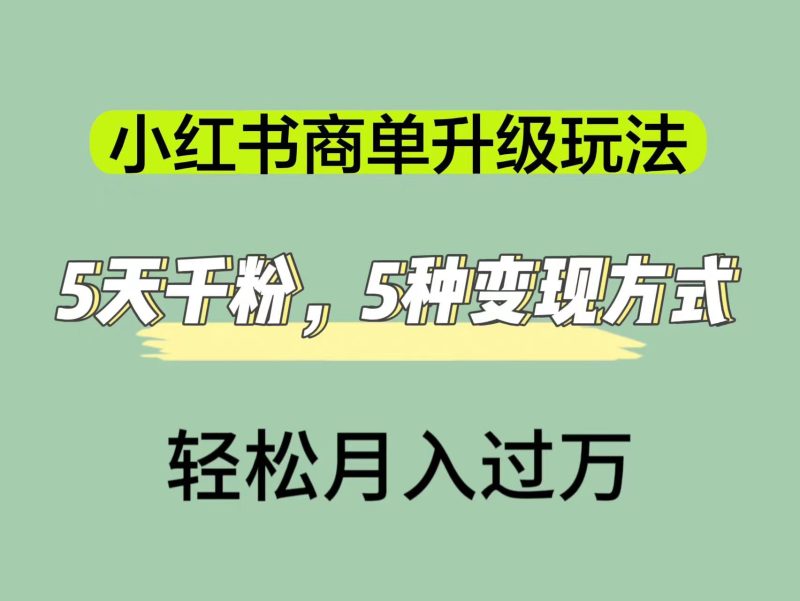 （7312期）小红书商单升级玩法，5天千粉，5种变现渠道，轻松月入1万+-副业网