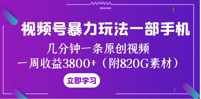 （8017期）视频号暴力玩法一部手机 几分钟一条原创视频 一周收益3800+（附820G素材）-副业网