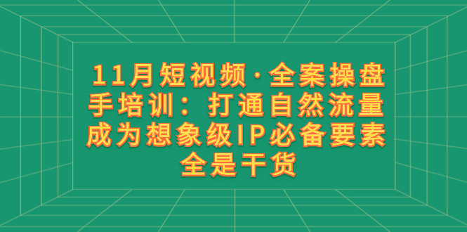 （8182期）11月短视频·全案操盘手培训：打通自然流量 成为想象级IP必备要素 全是干货-副业网